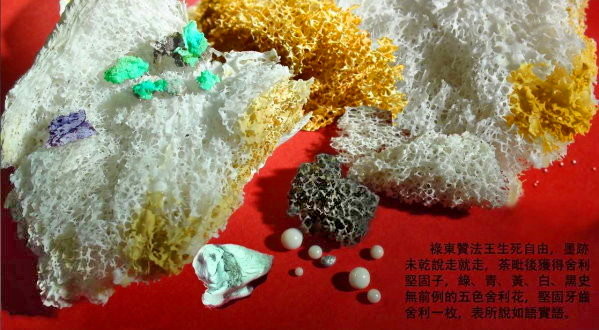 禄东赞法王生死自由 圆寂化得五彩舍利花坚固子-图片6
