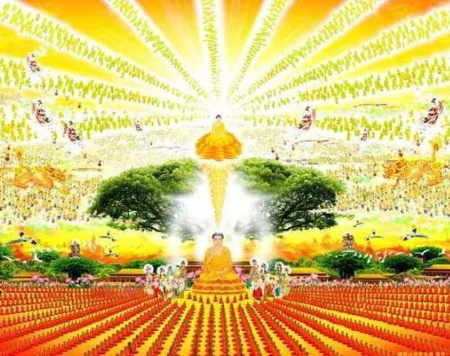 西方极乐世界游记(上、中、下)-宽净法师-图片9