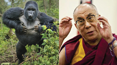 诽谤南无羌佛  十四世达赖是圣者还是低智凡夫？-图片4