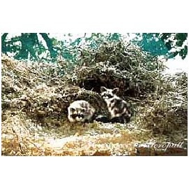 義恒公(摩訶法王)作品集“恒公六部曲”出版 少年之表率-图片14
